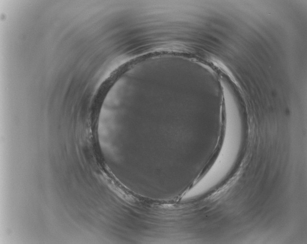 X0000061140923200512091930