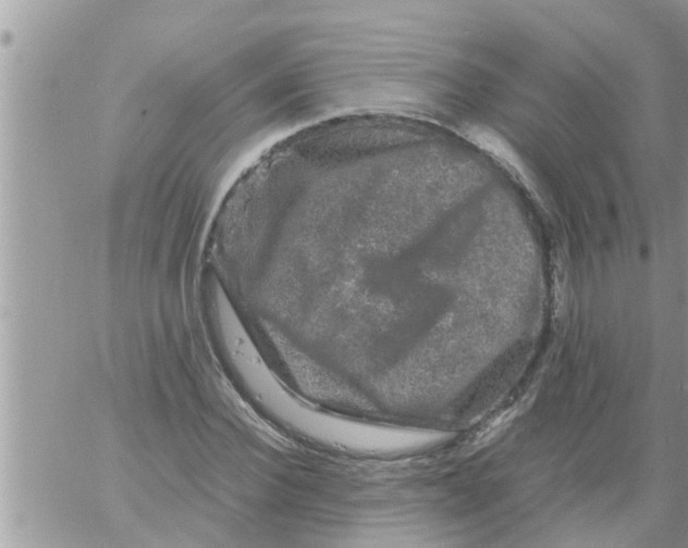 X0000061140924200512091930