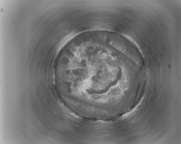 X0000061140925200512091930