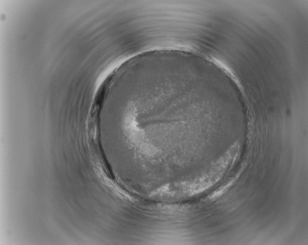 X0000061140928200512091930