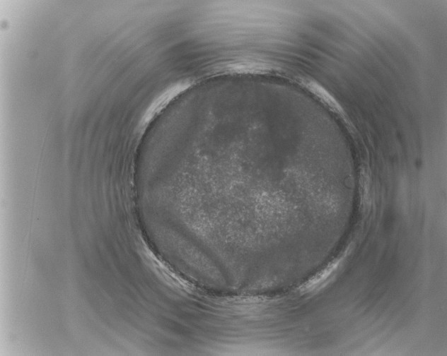 X0000061140930200512091930