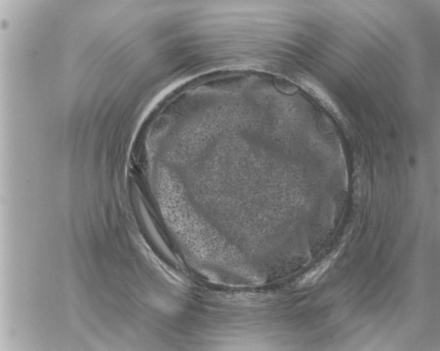 X0000061140932200512091930