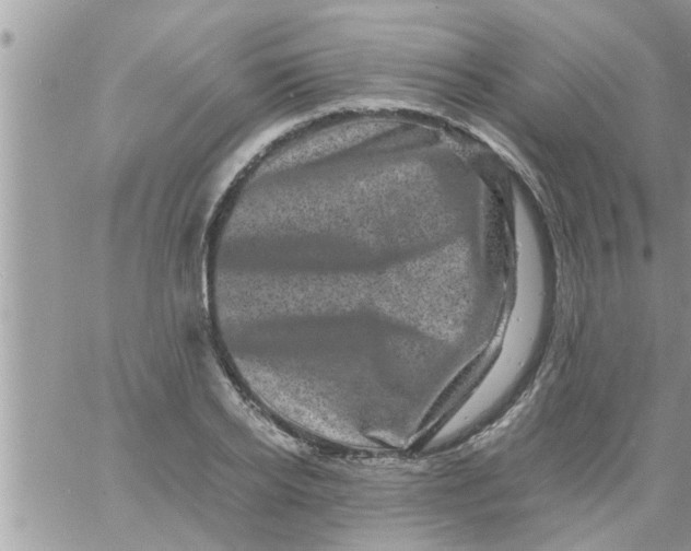 X0000061140934200512091930