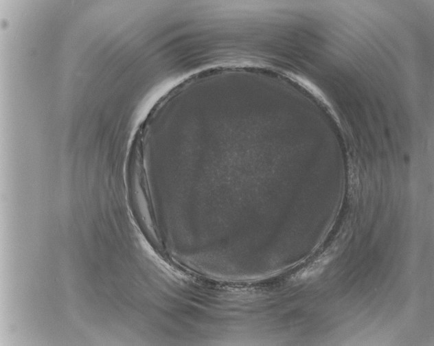 X0000061140935200512091930