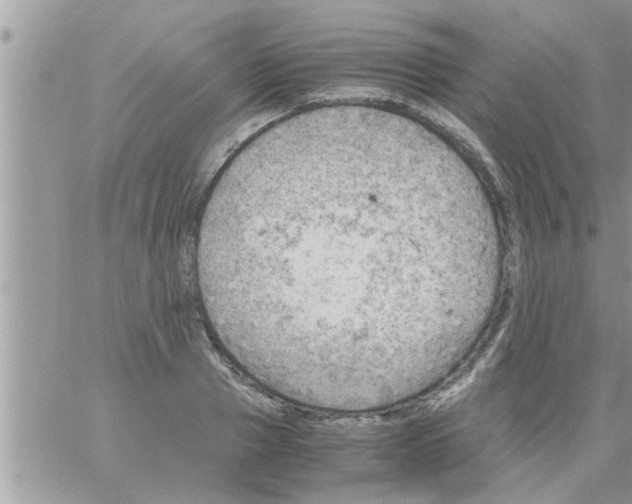 X0000061140937200512091930