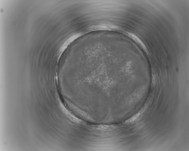 X0000061140938200512091930