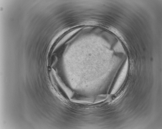 X0000061140939200512091930