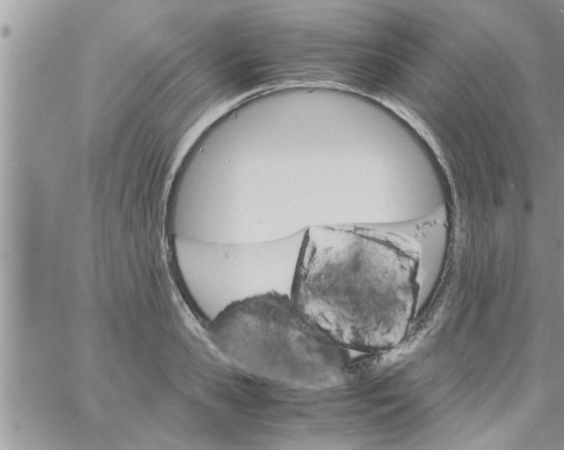 X0000061140941200512091930