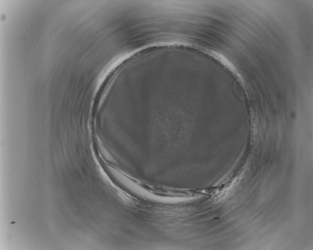 X0000061140943200512091930