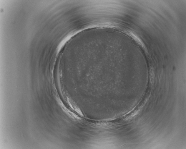 X0000061140944200512091930