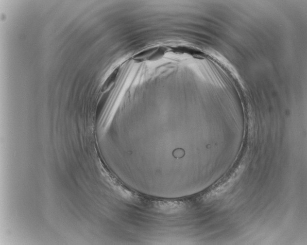 X0000061140945200512091930