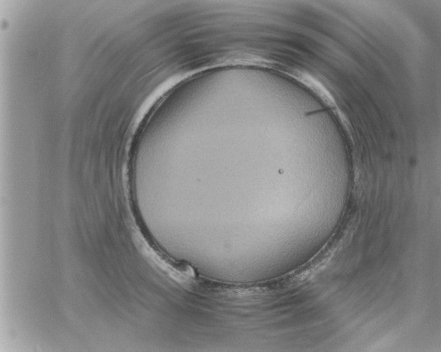 X0000061140947200512091930