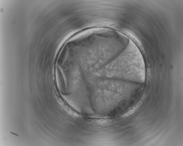 X0000061140948200512091930