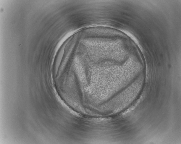 X0000061140949200512091930