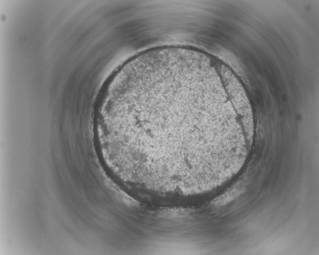 X0000061140950200512091930