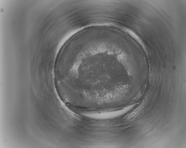 X0000061140951200512091930