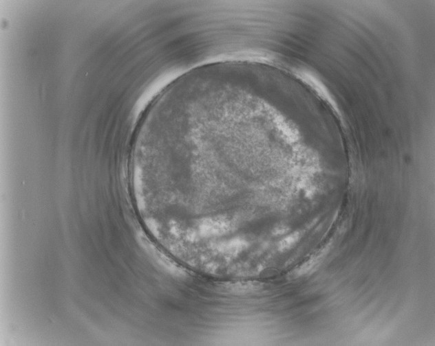 X0000061140952200512091930