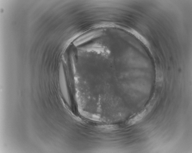 X0000061140953200512091930