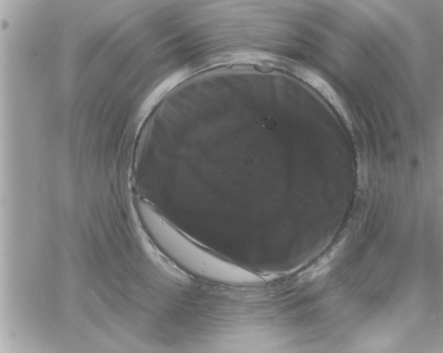 X0000061140954200512091930