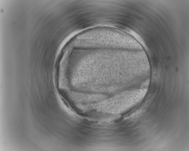 X0000061140955200512091930