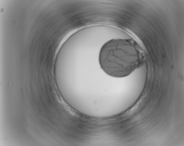 X0000061140956200512091930