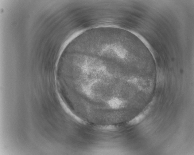 X0000061140957200512091930