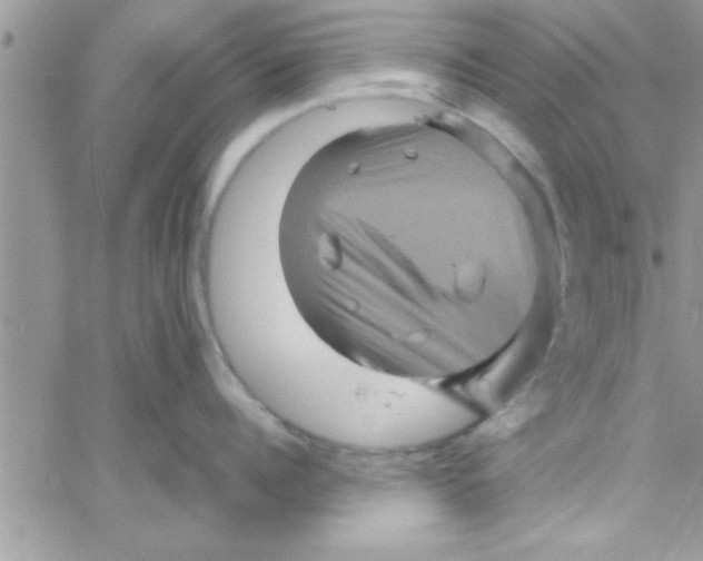 X0000061140960200512091930