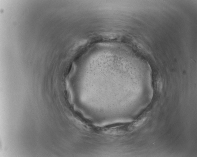 X0000061140961200512091930