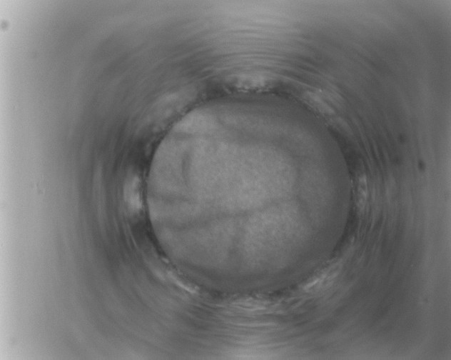 X0000061140962200512091930