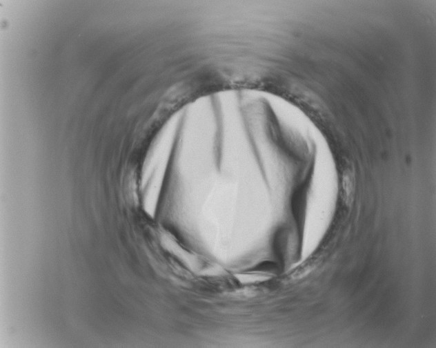 X0000061140963200512091930