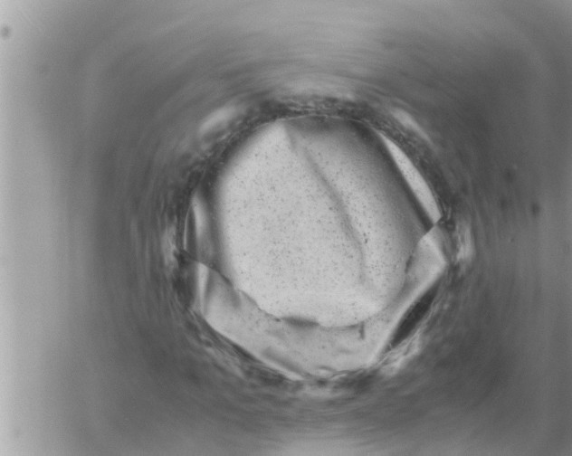 X0000061140965200512091930