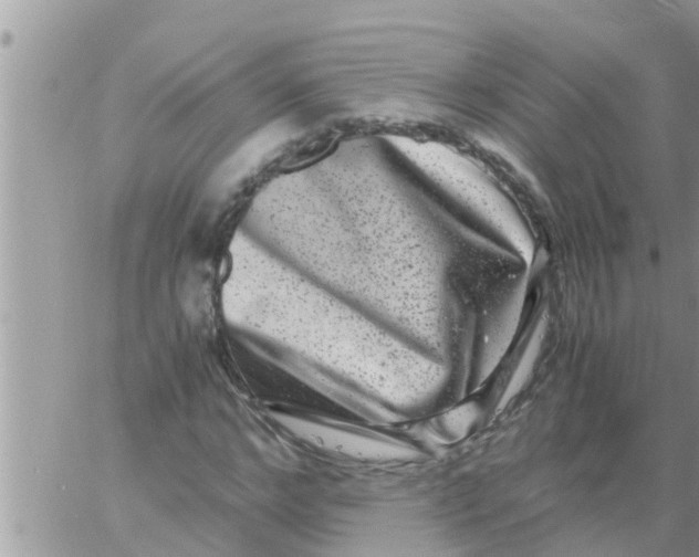 X0000061140968200512091929