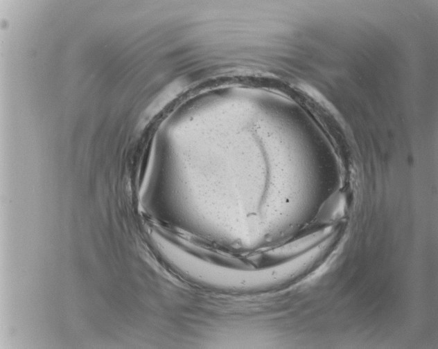 X0000061140969200512091929