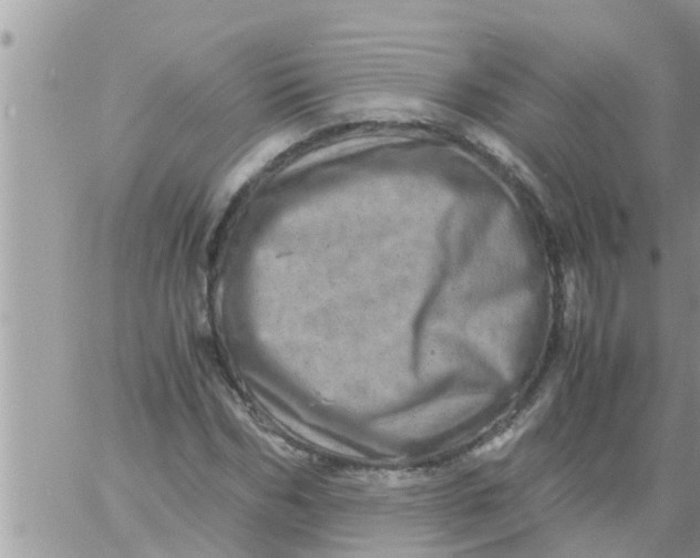 X0000061140970200512091929