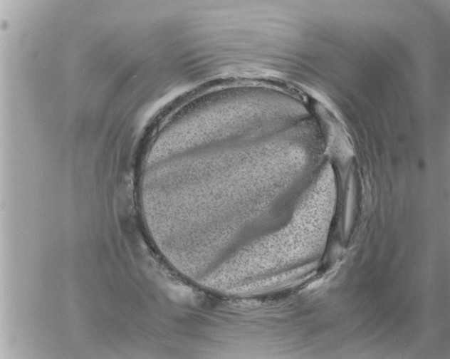 X0000061140971200512091929