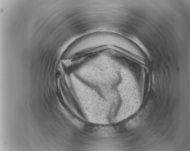 X0000061140972200512091929