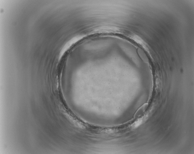 X0000061140973200512091929