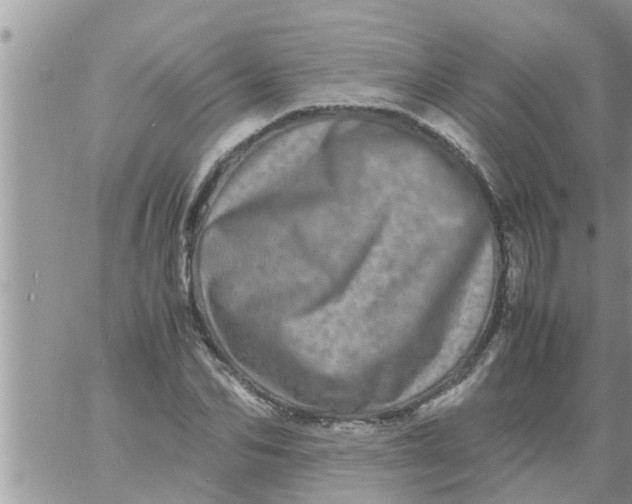 X0000061140974200512091929