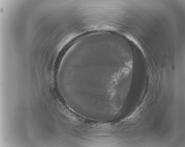 X0000061140975200512091929