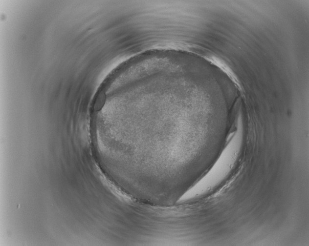 X0000061140976200512091929