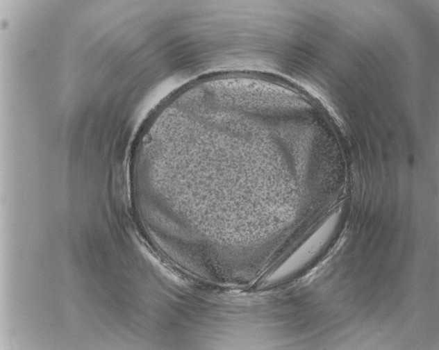 X0000061140982200512091929