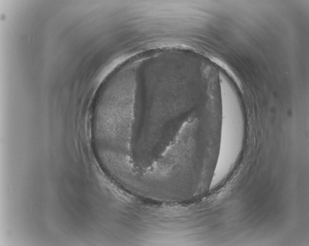 X0000061140983200512091929