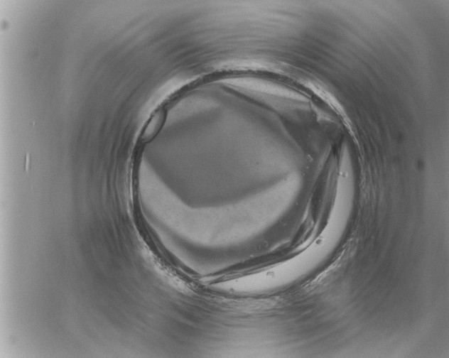 X0000061140984200512091929