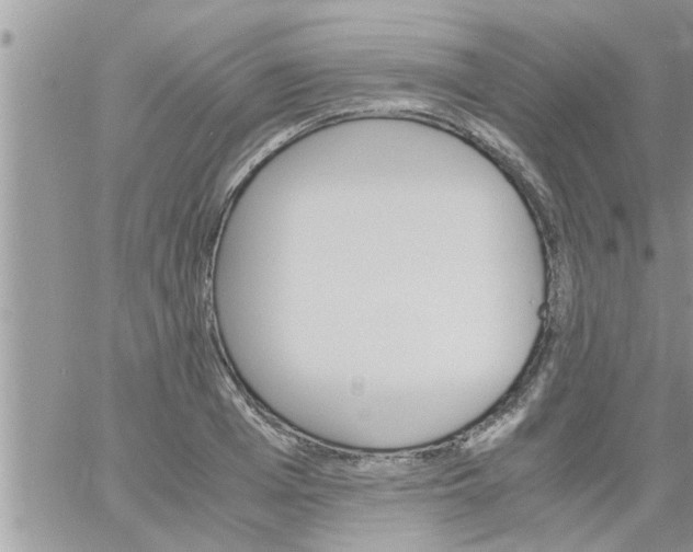 X0000061140985200512091929