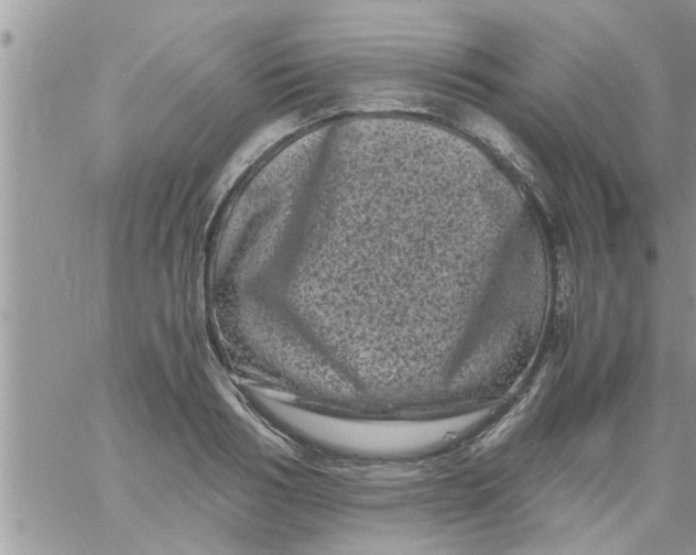 X0000061140986200512091929