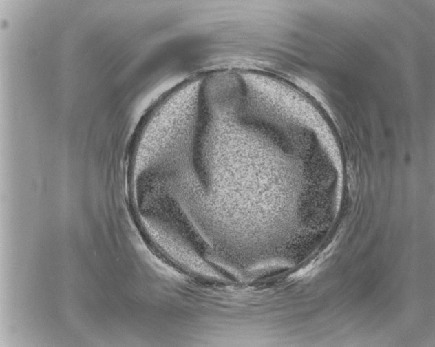 X0000061140987200512091929