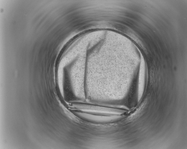 X0000061140988200512091929