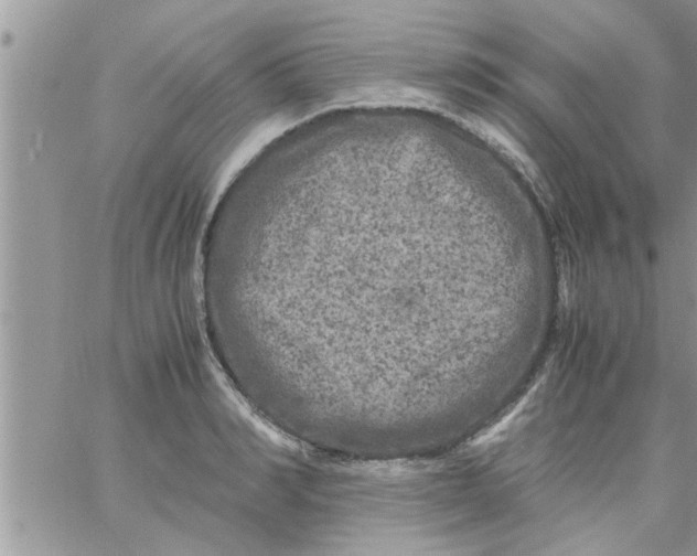 X0000061140990200512091929