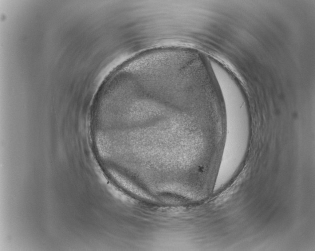 X0000061140991200512091929