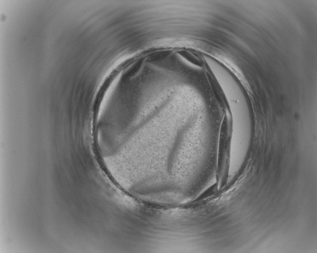 X0000061140992200512091929